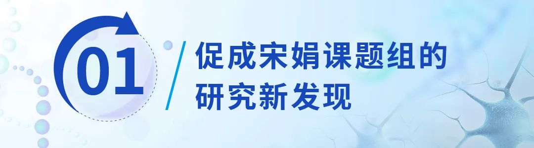 宋娟課題組研究新發(fā)現(xiàn).jpg