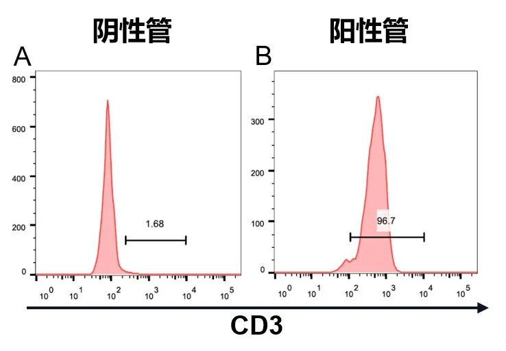 純度.jpg