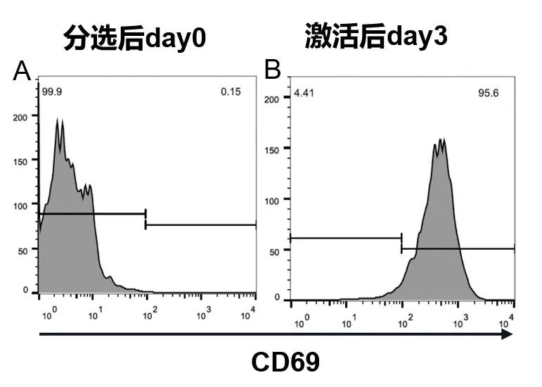 Marker激活情況.jpg