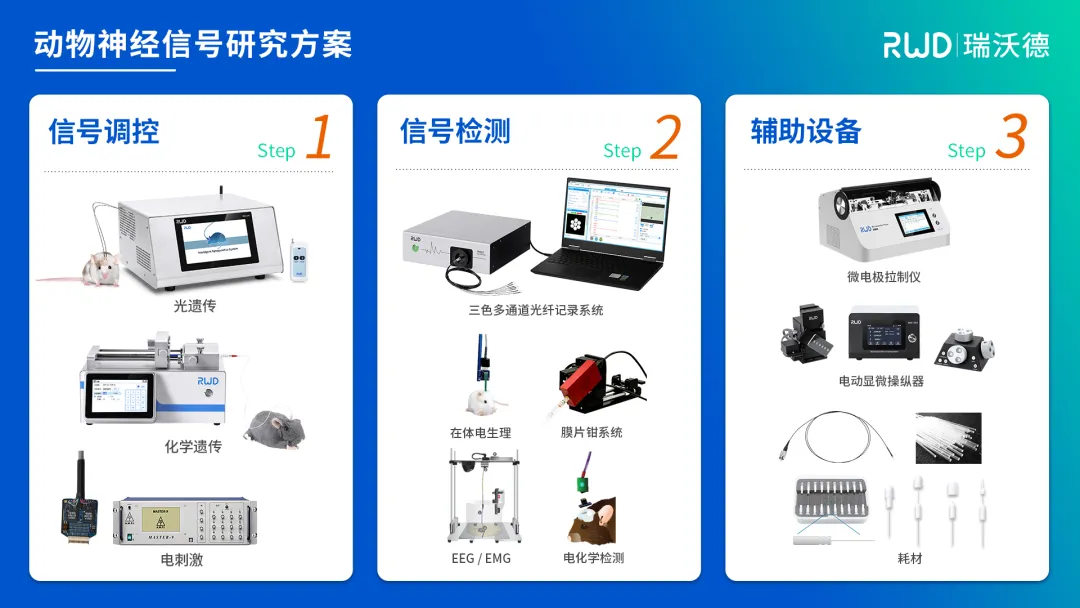 動物神經信號研究方案.jpg