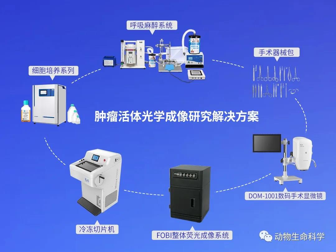 6-腫瘤活體光學成像研究解決方案.jpg