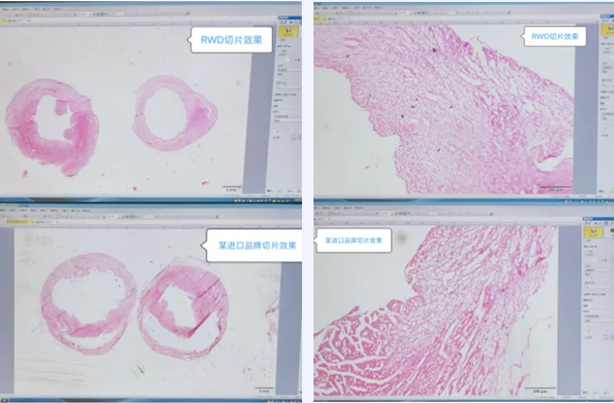 3-無組織裂隙.jpg