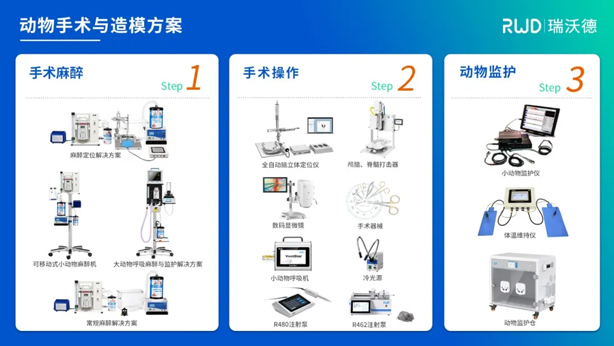 2-動物手術與造模.jpg