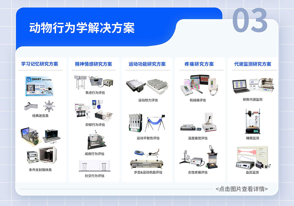 政府-貼息貸款-項目落地-A-官網_05.jpg