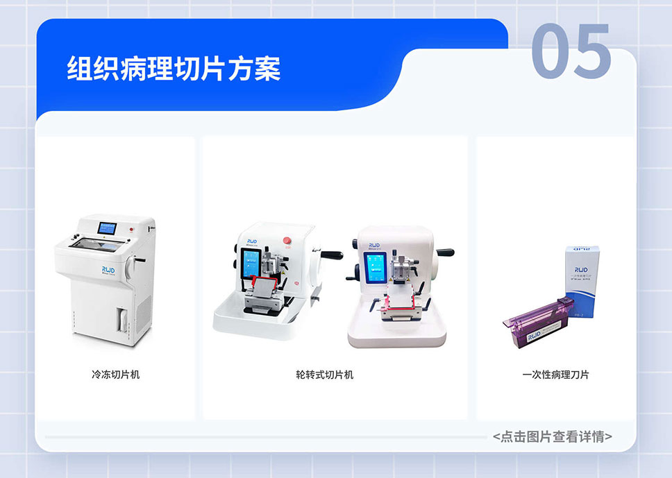 政府-貼息貸款-項目落地-A-官網_07.jpg