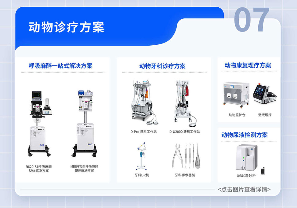 政府-貼息貸款-項目落地-A-官網_09.jpg