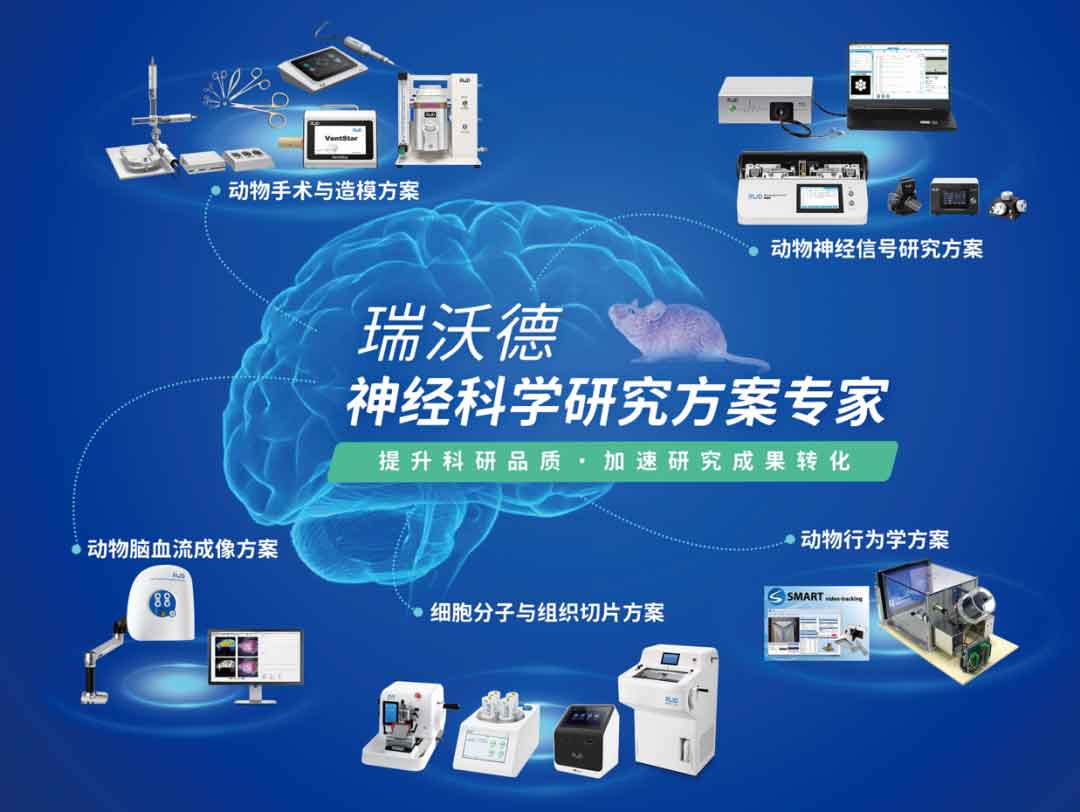 3-神經科學研究方案專家.jpg