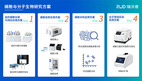 細(xì)胞與分子生物研究方案