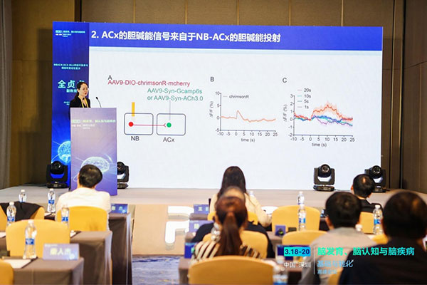 全貞貞教授作專題報告