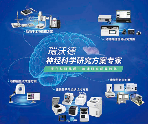 中國神經科學學會第十六屆全國學術會議暨第二屆中日韓國際會議（以下簡稱“CNS大會”）將于2023年7月27日-30日在珠海國際會展中心召開。作為我國神經科學領域規模盛大、學術水平高超的學術會議，CNS大會專注于腦科學前沿技術探討與應用，每年都吸引眾多國內外神經科學專家與學者參會，研討交流近年來神經科學的最新發展及科研成果。 瑞沃德展位（T18特裝展位） 作為一家深耕生命科學領域的公司，瑞沃德在神經科學研究領域也不斷創新，臻于至善，為科研工作者提供全方位的技術和服務支持，已連續多年參與CNS大會。今年，瑞沃德也將攜神經科學研究明星產品及解決方案亮相本次會議。在此，我們誠摯地邀請您蒞臨瑞沃德T18特裝展位參觀交流！ 中國神經科學學會第十六屆全國學術會議 暨第二屆中日韓國際會議 2023 年 7 月 27 日－30 日 （27日為展商報到日） 珠海國際會展中心 T18特裝展位 一站式“神經科學研究解決方案” 瑞沃德“神經科學研究解決方案”，融合動物手術與造模方案、動物神經信號研究方案、動物腦血流成像方案、細胞分子與組織切片方案、動物行為學方案，以專業、完整的場景化解決方案，滿足神經科學領域不同科研工作者的專業化實驗需求，提升科研品質，加速研究成果轉化。 神經科學研究解決方案 神經科學領域明星產品重磅亮相 作為神經科學領域的使能者，瑞沃德堅持突破創新，不斷為自研產品注入新動能。我們將在CNS大會上展示三色多通道光纖記錄系統、RFLSI ZW激光散斑血流成像系統等多款主流明星產品，歡迎各位蒞臨瑞沃德展位（T18特裝展位）了解。 明星產品 更多產品 新品發布，共邀體驗 在本次大會上，瑞沃德也將帶來神經科學研究的三款新品——TAIJI小動物麻醉機、全自動腦立體定位儀和嗅覺行為訓練系統，現場將會有專業人員進行新品發布演講，誠邀各位同行一起交流討論。 全自動腦立體定位儀&TAIJI小動物麻醉機 演講時間：7月29日09:30 瑞沃德全自動腦立體定位儀，是一款自動化、智能化的腦立體定位儀。電機精準控制步進，可自動化運行，減少人為操作帶來的誤差，解放雙手，節省人工成本；內置大小鼠腦圖譜和常用實驗任務模塊，更加方便和直觀地進行腦立體定位。 作為一體化設計的麻醉機，瑞沃德TAIJI麻醉機給用戶帶來了“開箱即通”的便捷體驗，在保留核心的麻醉功能的同時，支持誘導與維持雙通道獨立控制，極大提高了實驗效率。低應激誘導盒采用紅色外觀，可顯著降低嚙齒類動物的應激反應，更符合動物福利，在結構上采用半開放式，實現在誘導麻醉時進行主動回收，是科研實驗室通用的一款高性價比麻醉機。 嗅覺行為訓練系統 演講時間：7月29日14:45 RWD嗅覺行為訓練系統支持多只動物同時進行多種氣味訓練，可拓展與光遺傳、電生理等第三方設備聯用。系配有專門軟件操控系統運行，精確控制氣味釋放，精準記錄行為參數，內置DNMS，DPA，Go/No-Go實驗范式，并支持自主編輯，對于開展神經系統疾病、認知學習記憶以及嗅覺環路相關機制等研究有很大幫助。 專家團坐陣，精彩好禮享不停 除了瑞沃德神經科學研究產品的體驗，現場也提供技術咨詢服務。瑞沃德解決方案專家團將在現場全天候為您解答對應研究領域的產品應用難題，并提供定制化的解決方案。 同時，展位設置了瑞沃德產品以舊換新的專屬福利，更有耗材產品限時促銷、幸運抽獎等活動，定制音響、商務背包、電風扇等禮品等你來！（活動詳詢現場工作人員） 展臺現場活動（部分） 2023CNS大會 瑞沃德T18特裝展位 我們恭候您的到來