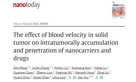 揭示血流速度對納米藥物在實體瘤內蓄積和滲透的影響