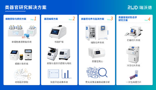 瑞沃德邀您共赴2024第四屆類器官大會—類器官與新藥研發會議暨 ISoOR 2024 國際類器官高峰論壇