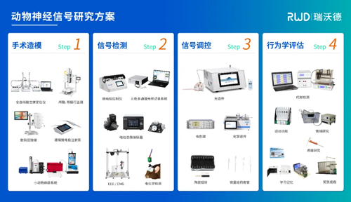 上海體育大學王曉慧團隊揭示TI刺激促進小鼠運動技能提升及其機制