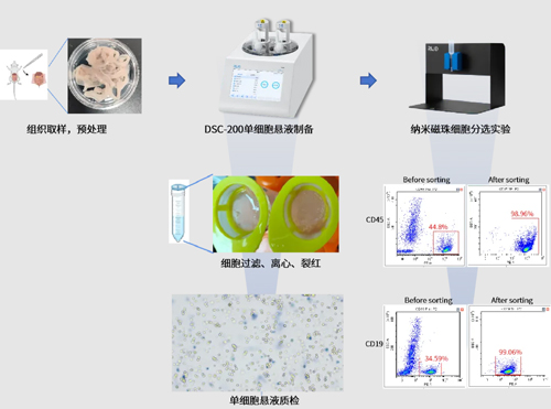 DSC-200單細胞懸液制備儀，雙通道開啟“新品鉅惠”（內含多重優惠福利）