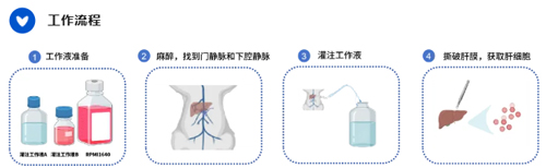 干細(xì)胞與肝細(xì)胞提取試劑盒