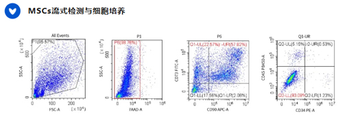 干細(xì)胞與肝細(xì)胞提取試劑盒