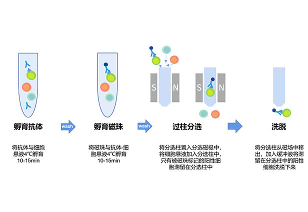 操作簡單便捷