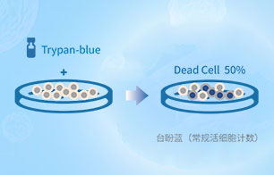 臺盼藍活細胞計數