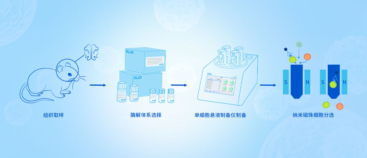 組織細(xì)胞分離與純化