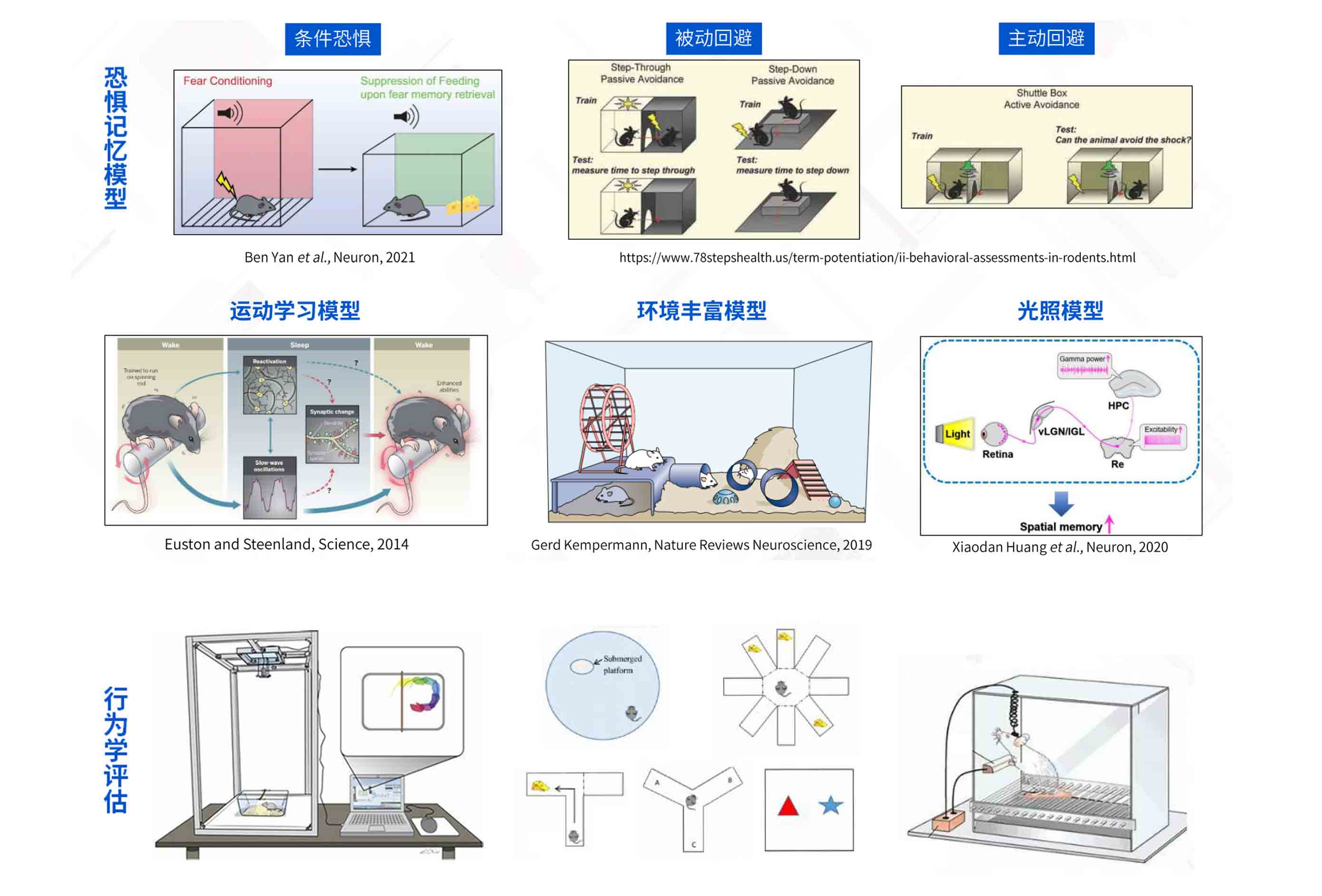 環境造模與行為評估