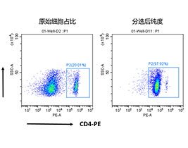 小鼠CD4+細(xì)胞分選試劑盒