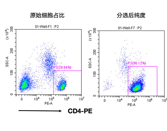 人CD4+細胞分選試劑盒（科研級）