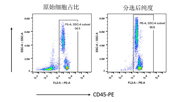 人CD45+細胞分選試劑盒（科研級）