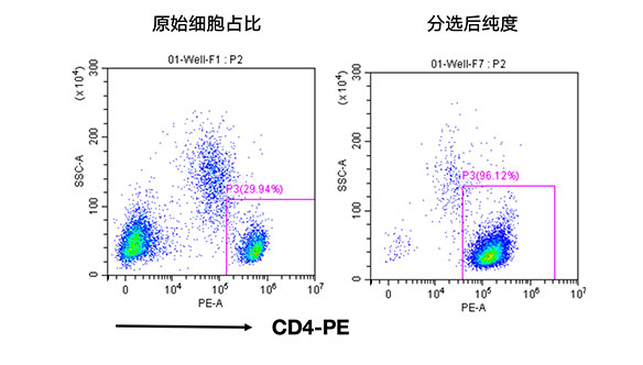 人CD4+細胞分選試劑盒（科研級）