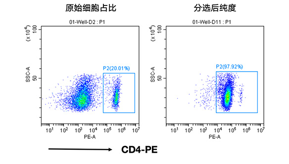 小鼠CD4+細(xì)胞分選試劑盒