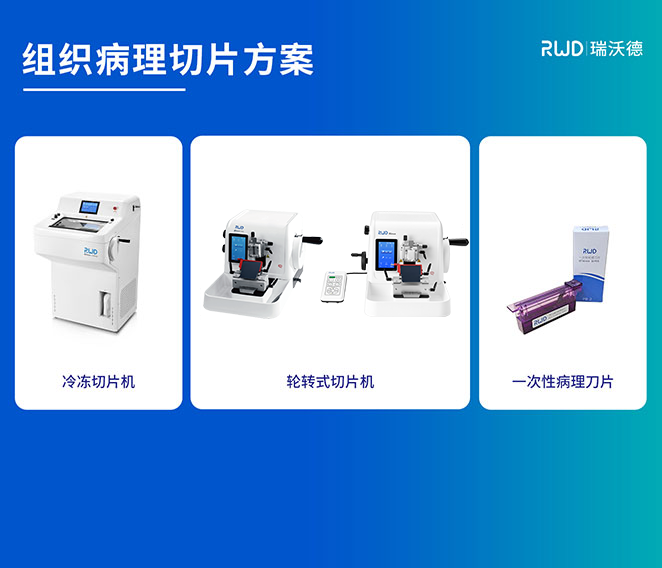 組織病理切片方案