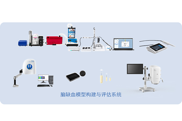 腦缺血模型構建與評估系統