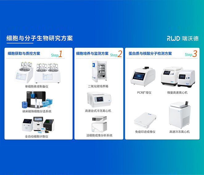 瑞沃德細(xì)胞分子